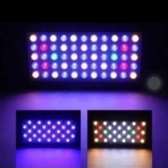 照明ブラックボックスの画像