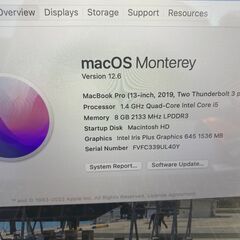 Mac book PRO 2019  マジックマウス付　充電器 ケース付き　13インチ 元箱ありの画像