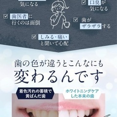 【新品未使用】ホワイトニング ジェル 美白 歯磨きジェル 薬用Pikatooth（ピカトゥース）4大有効成分配合 歯を白くする美容液 ホームホワイトニング オーラルケア 30g（1本）の画像