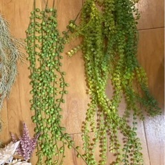 グリーン　観葉植物　造花の画像