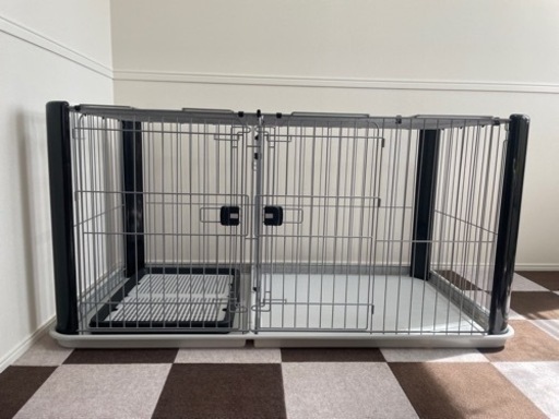 決まりました！