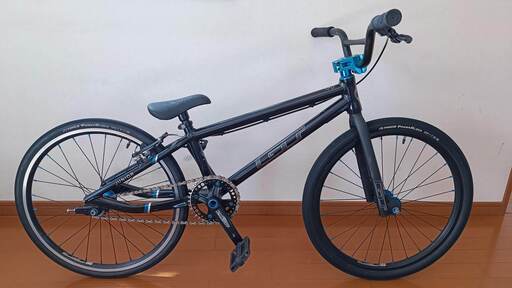 自転車 GT BICYCLES BMX PRO SERIES JUNIOR