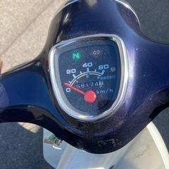 カブ　50の画像