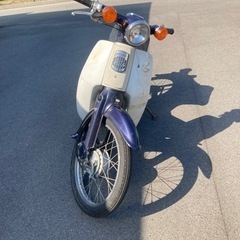 カブ　50