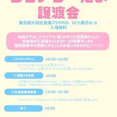 ねこちゃん達のお見合い(⋈◍＞◡＜◍)。✧♡ (譲渡会・里親会）
