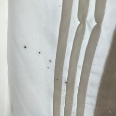お気に入りの服たち（2）の画像