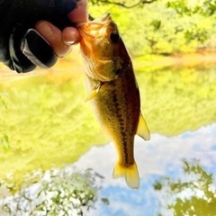 釣りや他趣味仲間募集🎣🏂