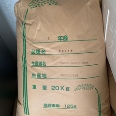令和3年収穫 お米🌾きぬむすめ 