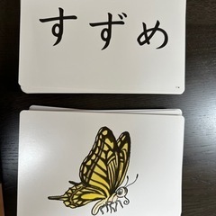 初めてカードフラッシュをされる方に七田（しちだ）式カードフラッシ...