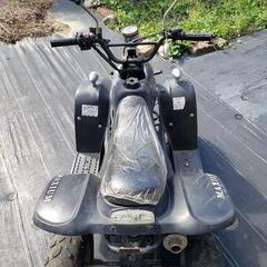 MAXIMバギーの画像