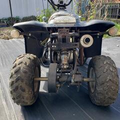 MAXIMバギーの画像