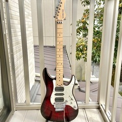 SCHECTER SD-DX-24-AS Red Sunburs...