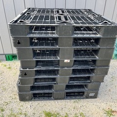 プラパレット8枚　