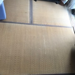 畳、12枚です