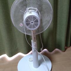 扇風機あげます。の画像