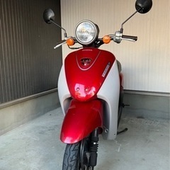 (お取引中)原付HONDAのTODAYの画像