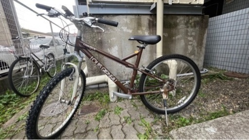 LOUIS GARNEAU LGS-SIX シティバイク 2010 RED BROWN  420mm