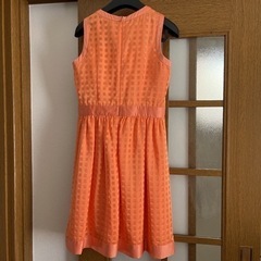 ワンピース　の画像