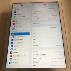 iPad Air2 Wi-Fi +Cellular 16GB シルバー[受付中]再値下げ