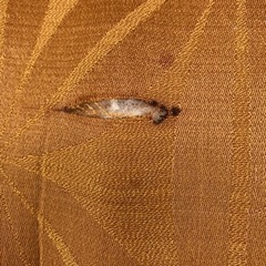 引渡済　難アリ　座布団2枚セットの画像