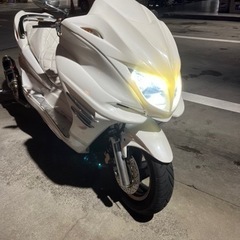 マジェスティ250 SG03J 自賠責7年1月迄　乗って帰れます！の画像