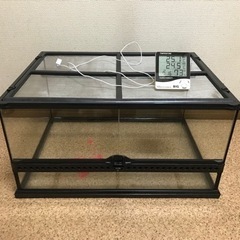 受け渡し者決定しました。爬虫類ゲージ・温度、湿度計付き