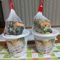 野菜栽培セット 二種