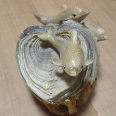 イルカの貯金箱の画像