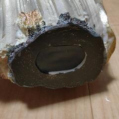 イルカの貯金箱の画像
