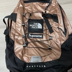 supreme North Face