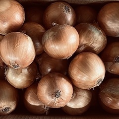 佐賀県産玉ねぎ(B級品)1㌔150円