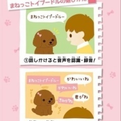 ぬいぐるみなのに賢い⁉️ まねっこプードル🐶の画像