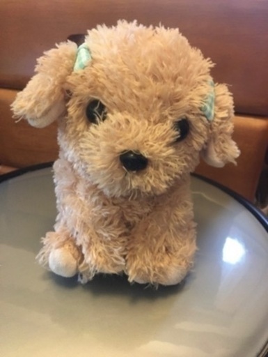 ぬいぐるみなのに賢い⁉️ まねっこプードル
