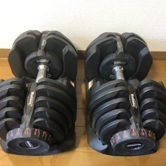 【交渉可】アジャスタブルダンベル Motions 40kg 2個セットダイヤル式 筋トレ 