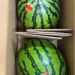 スイカ2玉入