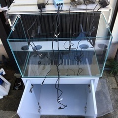 ADA(アクアデザインアマノ製)　キューブガーデン　 W60×D...