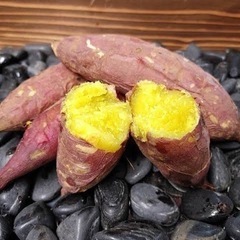 季節限定バイト😃の画像