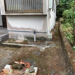 空き家の保守管理、草刈り、剪定 - 都城市