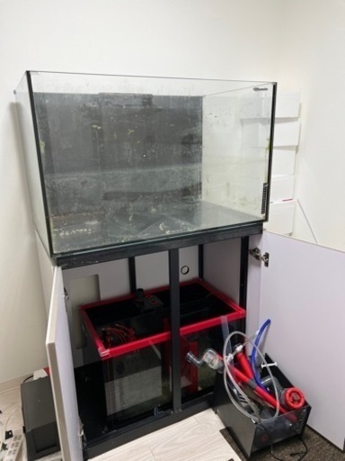 現在商談中ネプチューン　120センチ水槽