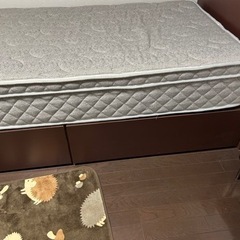 ベット 譲ります！の画像