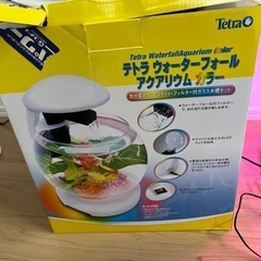 インテリア水槽の画像