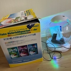 インテリア水槽の画像