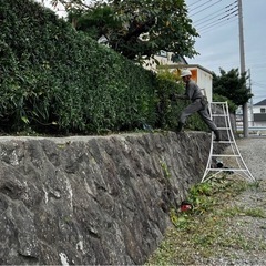 植木の手入れ　