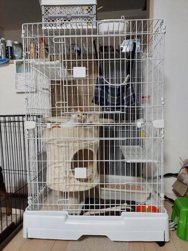 キャットケージ 引き出し付き ホワイト