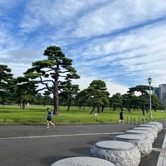 皇居ラン一緒にしてくれる方募集です♪