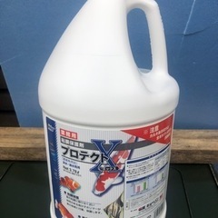 めだか　粘膜保護剤　キョーリン　プロテクトX   金魚