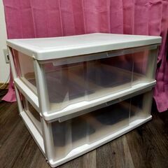 収納ケース　タンス型2段