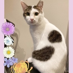 いと可愛いや💕かりんちゃん♀推定3歳
