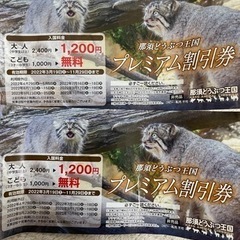 那須どうぶつ王国　割引券　2枚　セット