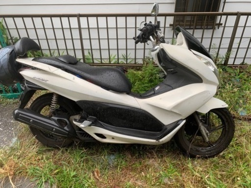 PCX 125cc 始動動画ついたに載ってます！！